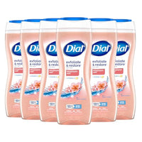 Thumbnail for Image 1 of Default Title for the product Dial Body Wash, Exfoliate & Restore Himalayan Salt, 16 fl oz, Pack of 6