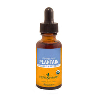Thumbnail for Herb Pharm Plantain Extract 1 Oz
