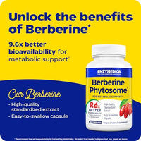 Thumbnail for Image 3 of Enzymedica Berberine Phytosome High Absorption Supplement - 60 Caps