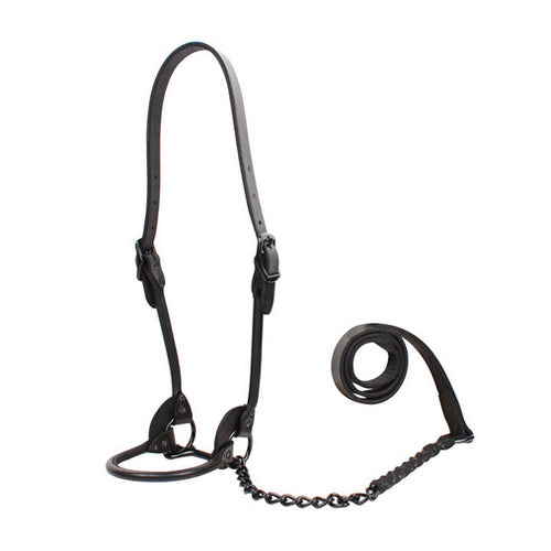 1st Class Leather Show Halter Small Black 1 Count by Sullivan Supply, Inc.