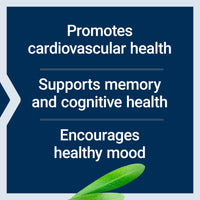Thumbnail for Life Extension Healthy Aging Powder, Healthy Aging Supplement, Heart Health, Brain Health, Exercise Performance, Taurine, Lithium, spermidine, Powder Blend, Non-GMO, Vegetarian, 30 Servings