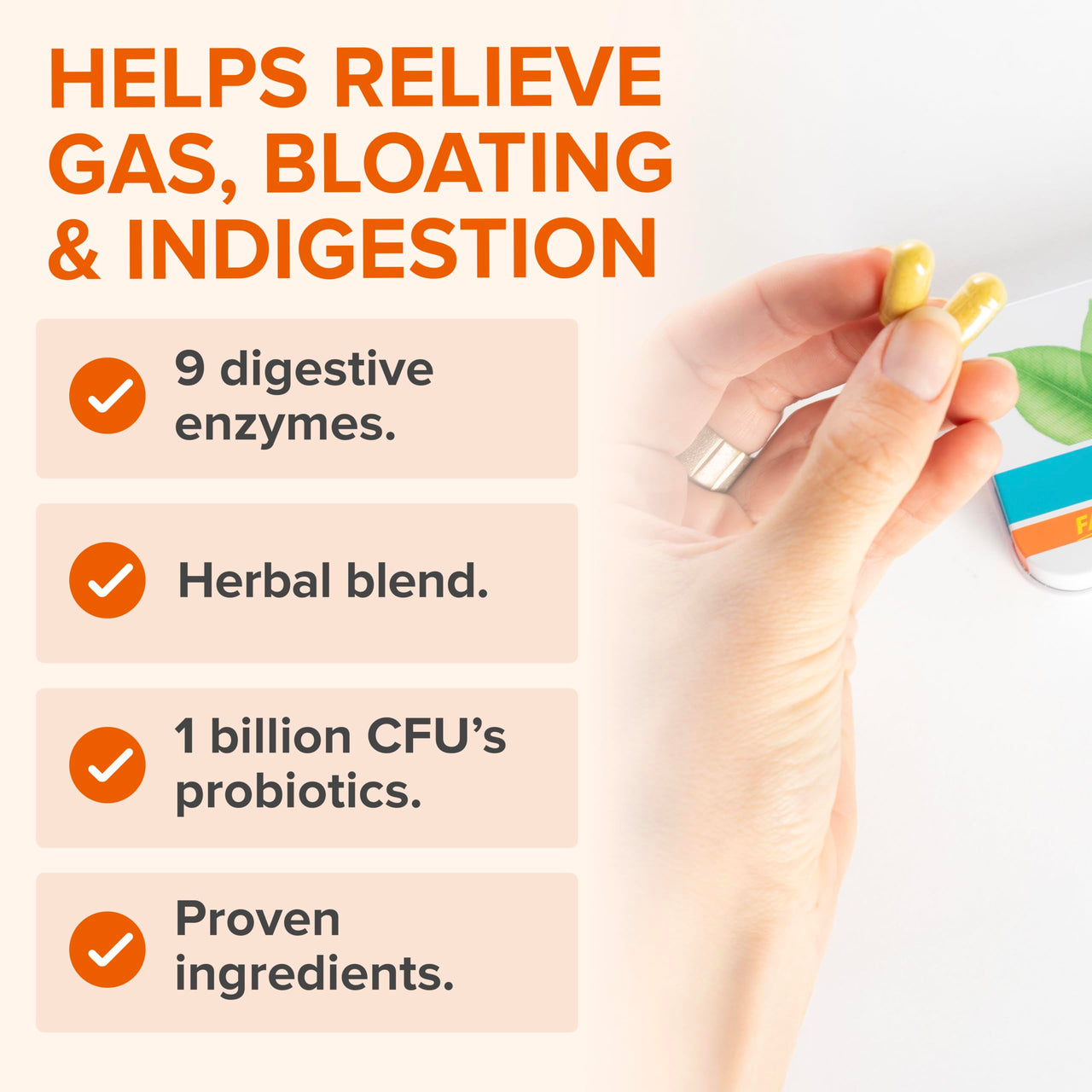 Zenwise Health No Bloat Probiotics for Women and Men Digestive Health with Ginger, Dandelion, and Lactase, Digestive Enzymes for Gas and Bloating Relief - Vegan Water Retention Pills - 14 CT