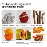 Thumbnail for AG1 Greens Powder Supplement and Multivitamin with Probiotic, Family Kit