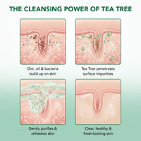 Thumbnail for Botanic Hearth Tea Tree Body Wash -16 fl oz- All-Natural Antifungal & Odor-Control Shower Gel for Acne, Athlete’s Foot, Ringworm, Jock Itch & Healthy Skin,Sulfate & Paraben Free, for Men and Women