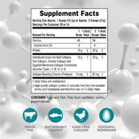 Thumbnail for NaturesPlus Collagen Peptides - 0.65 lbs Powder, Pack of 2 - Hair, Skin, Nail & Joint Health, Immune System Support - Non-GMO, Gluten Free - Up to 56 Total Servings