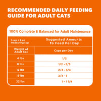 Thumbnail for IAMS Proactive Health Dry Cat Food, Healthy Cat Food Dry Recipe for Adults, with Chicken 3.5 lb. Bag