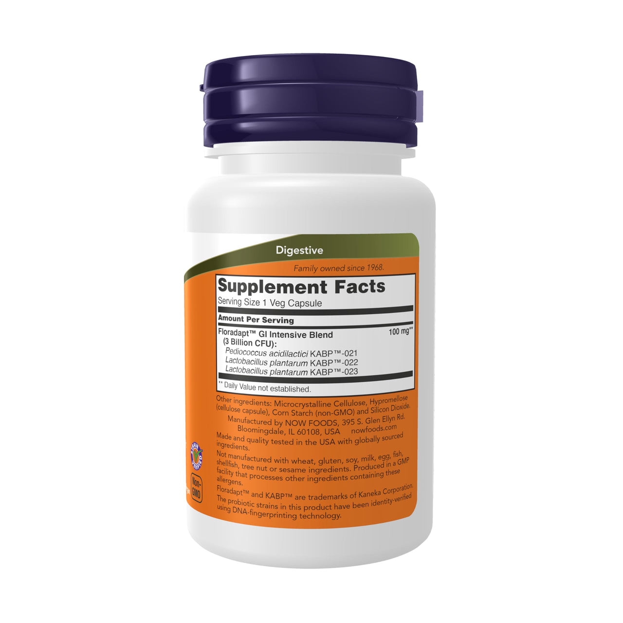 Now Intestinal Bacteria Support, Clinically Validated Probiotic, Promotes Regularity*, 60 Veg Capsules