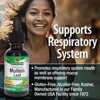 Thumbnail for Nature's Answer Mullein Herb - Mullein Leaf Extract for Lungs - Alcohol Free, Non GMO, Made in USA - Supports Respiratory Function & Promotes Healthy Lungs - Mullein Leaf 1 Ounce Extract