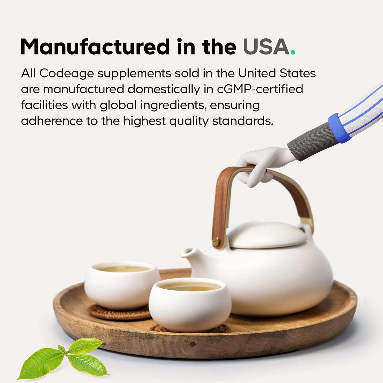 Codeage Chlorophyll Liquid Drops Supplement - Vegan Chlorophyll 50 mg per Serving, Organic Peppermint Flavor Clorofila Drink - Non-GMO, Gluten-Free, Vegan - 2 fl oz