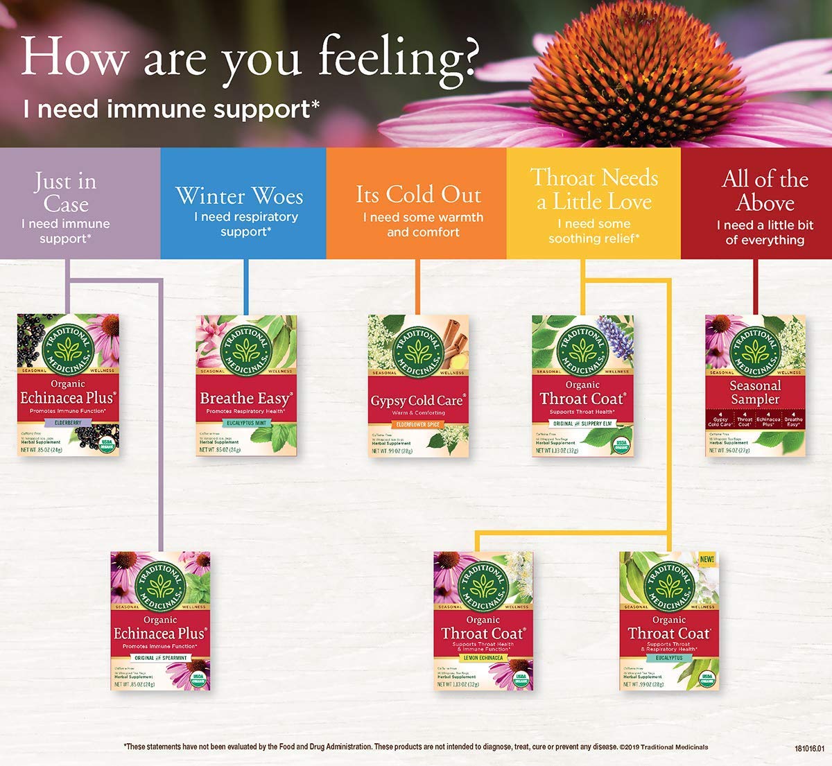 Traditional Medicinals Breathe Easy Eucalyptus Mint Herbal Tea, Promotes Respiratory Health, (Pack of 1) - 16 Tea Bags