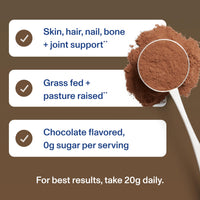 Thumbnail for Vital Proteins Collagen Peptides Powder Supplement, Hydrolyzed Collagen for Skin, Hair, Nails & Joints, Chocolate, 28 Servings