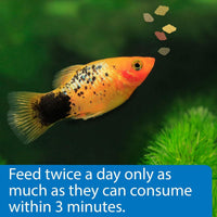 Thumbnail for API TROPICAL FLAKES Fish Food .36-Ounce Container