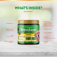 Thumbnail for NaturVet – GrassSaver Supplement for Dogs – Healthy Supplement to Help Rid Your Lawn of Yellow Spots – Synergistic Combination of B-Complex Vitamins & Amino Acids – 120 Soft Chews