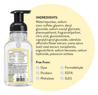 Thumbnail for J.R. Watkins Foaming Hand Soap with Pump Dispenser, Moisturizing Foam Hand Wash, Alcohol-Free, Cruelty-Free, Citron, 9 fl oz, 3 Pack