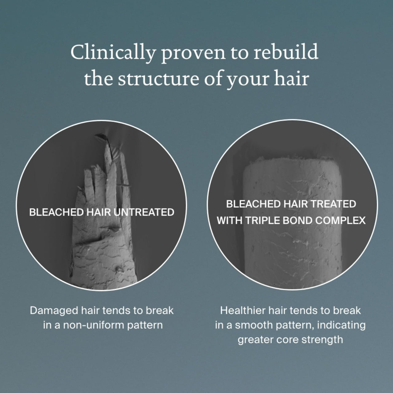 Living Proof Triple Bond Complex Leave-In Treatment and Hair Mask for All Hair Types – Rebuilds Hair Structure, Repairs Damage, Heat Protection, Long-Lasting Results, 1.7 oz