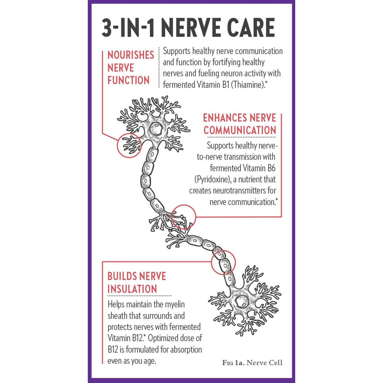 New Chapter Nerve Health Supplement for 3-in-1 Support from Head to Toe - Vitamin B1 Generates Energy for Nerves, Vitamin B6 Enhances Healthy Transmission, Vitamin B12 Builds Insulation, 30ct