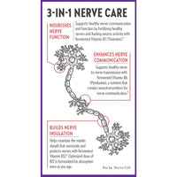 Thumbnail for New Chapter Nerve Health Supplement for 3-in-1 Support from Head to Toe - Vitamin B1 Generates Energy for Nerves, Vitamin B6 Enhances Healthy Transmission, Vitamin B12 Builds Insulation, 30ct