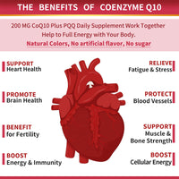 Thumbnail for ZEBORA CoQ10-200mg-Softgels with PQQ, BioPerine & Omega-3, 120 Servings Coenzyme Q10(Ubiquinone) Supplement for High-Absorption, Powerful-Antioxidant, Support Heart & Energy-Production