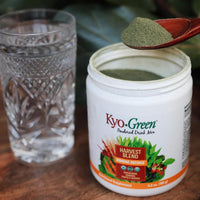 Thumbnail for Kyolic Kyo-Green Harvest Blend, Immune Defense*, Powdered Drink Mix, 6.3 oz