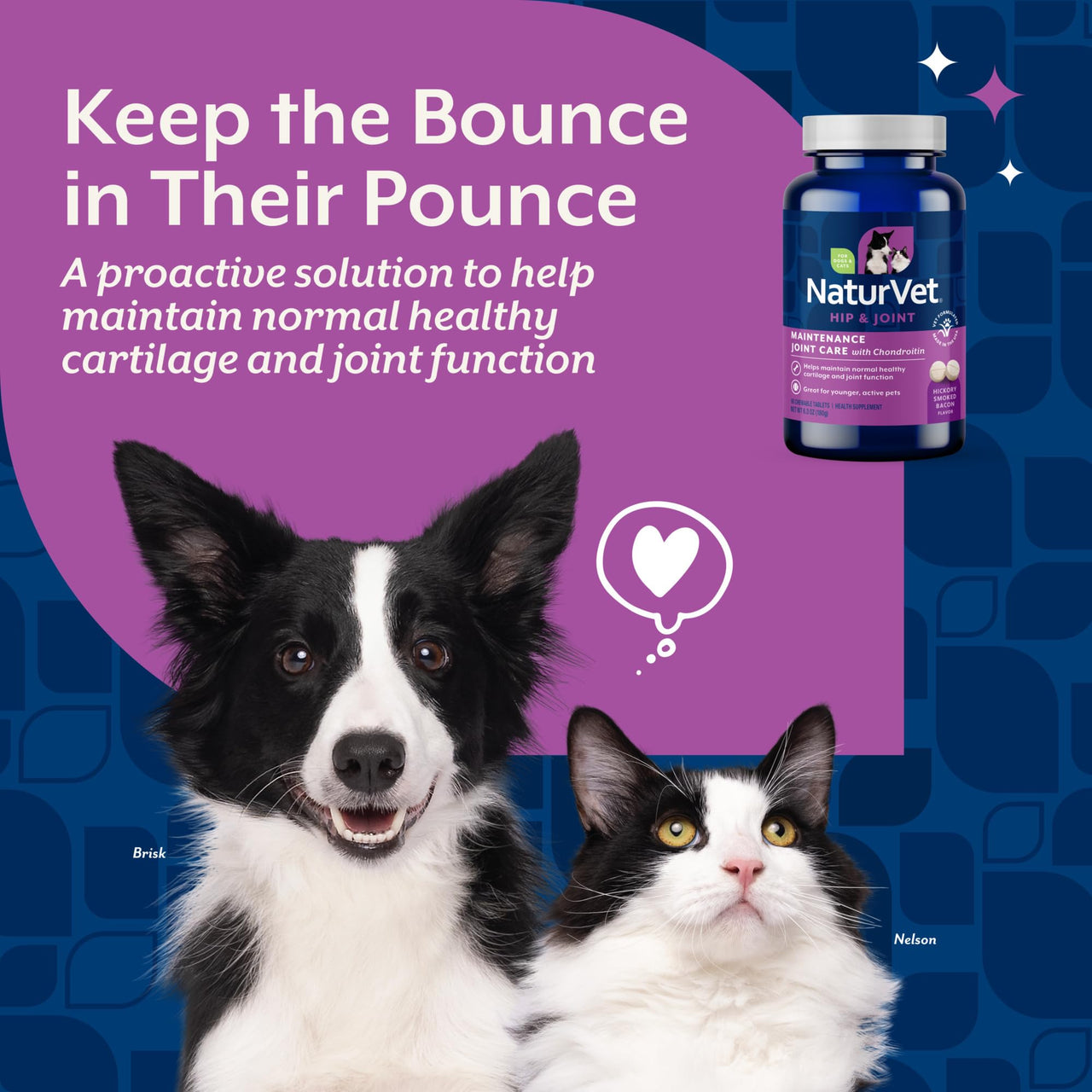 NaturVet Glucosamine DS Level 1 Maintenance Care Hip & Joint Support Pet Supplement for Dogs & Cats –Glucosamine, Chondroitin, Antioxidants –Supports Cartilage, Joint Function – 60 Ct.