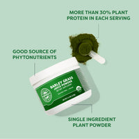 Thumbnail for Vimergy Wild Blueberry Powder (120g) & Barley Grass Juice Powder (120g) Bundle
