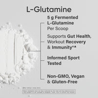 Thumbnail for Sports Research® Gut Health - Fermented L-Glutamine and Turmeric Curcumin C3 Complex® w/BioPerine Black Pepper Extract (60 Servings Each)