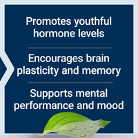 Thumbnail for Life Extension Pregnenolone - Hormone Balance Supplement for Healthy Hormone Levels, 100 mg - Hormone Balance, Memory, Focus, Cognitive Health - Gluten-Free, Non-GMO, 100 Capsules