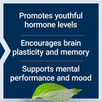 Thumbnail for Life Extension Pregnenolone - Hormone Balance Supplement for Healthy Hormone Levels, 100 mg - Hormone Balance, Memory, Focus, Cognitive Health - Gluten-Free, Non-GMO, 100 Capsules