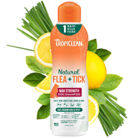 Thumbnail for TropiClean Max Strength Flea and Tick Shampoo Treatment for Dogs, Powerful & Natural Defense, Prevention for Large & Small Dogs, Made in USA, 20oz
