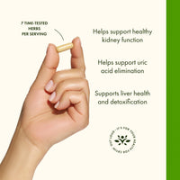 Thumbnail for Swanson Uric Acid Cleanse - Natural Supplement Promoting Kidney Support - Features a Powerful Combination of 7 Herbs - (60 Veggie Capsules)