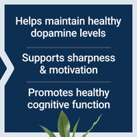 Thumbnail for Life Extension Dopamine Advantage, Cognitive Health, Mental Sharpness, Motivation, Vitamin B12, phellodendron bark Powder, Gluten Free, Non-GMO, Vegetarian, 30 Capsules