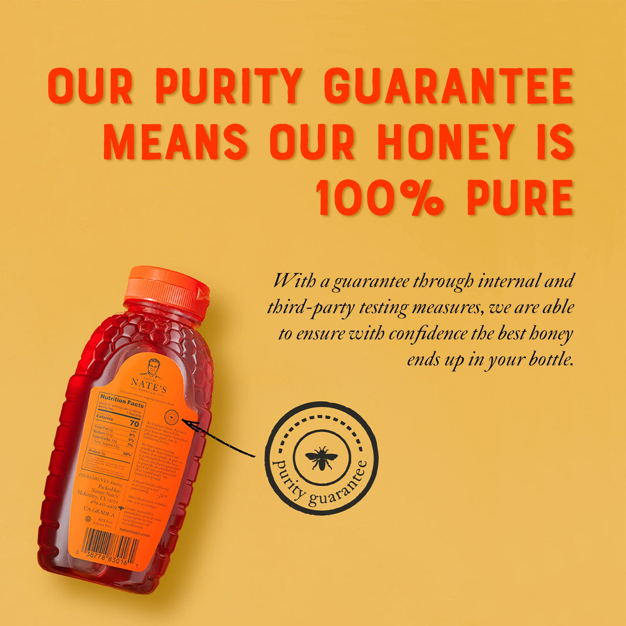 Nate's 100% Pure, Raw & Unfiltered Honey - Award-Winning Taste, 32oz. Squeeze Bottle (6 Pack)