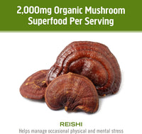 Thumbnail for OM MUSHROOM SUPERFOOD Reishi Mushroom Capsules Superfood Supplement, 90 Count, 30 Days, Organic Adaptogen for Stress Relief and Immune Health