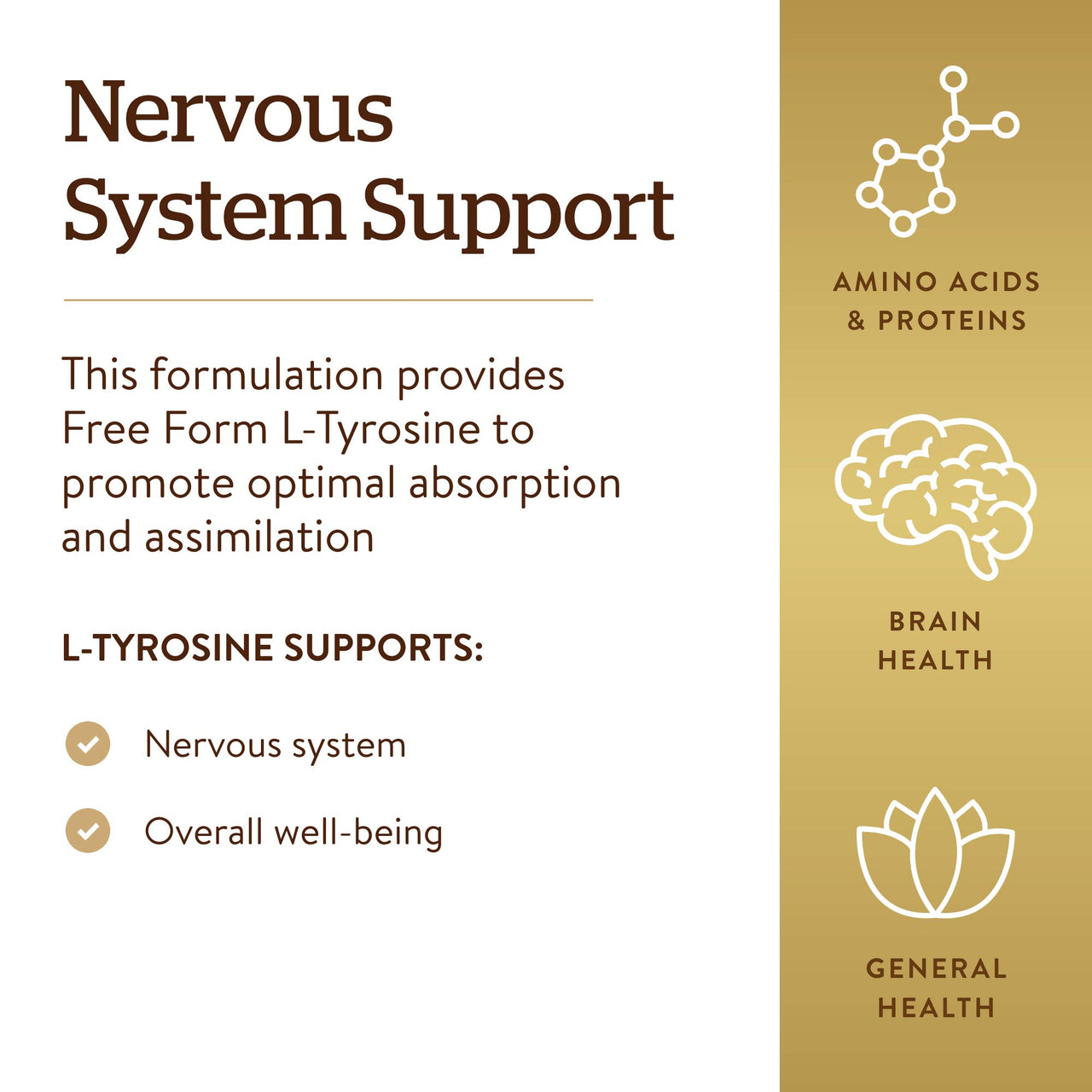 Solgar L-Tyrosine 500 mg, 100 Vegetable Capsules - Brain & Nervous System Support - Vegan, Gluten Free, Dairy Free, Kosher - 100 Servings,Standard Packaging