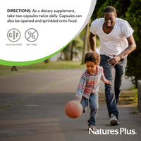 Thumbnail for NaturesPlus Egg Yolk Lecithin - 600 mg, 180 Capsules - Soy Free, Gluten Free - 90 Servings