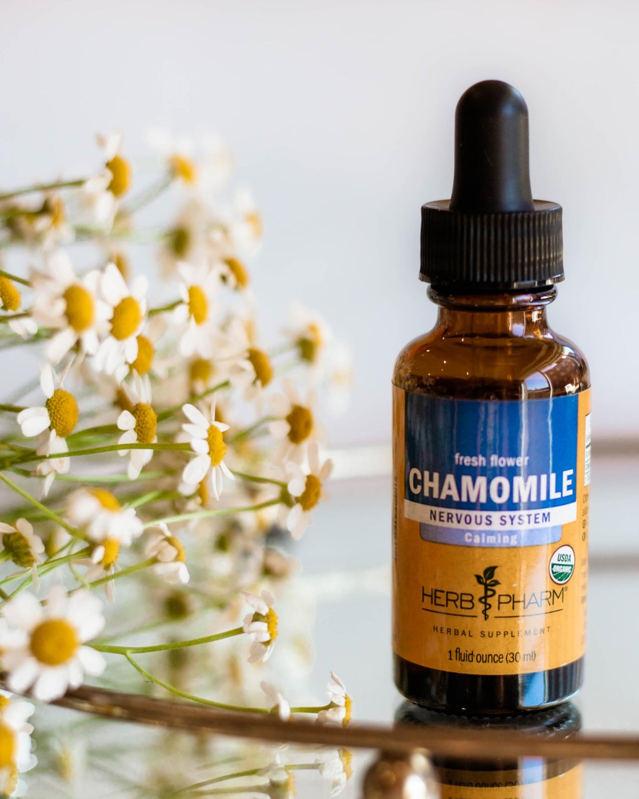 Herb Pharm, Chamomile Extract Organic, 1 Fl Oz