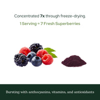 Thumbnail for Eclectic Herb - Nutrigenomc Superberry Superfood Berry Supplement Powder | Nutritional Support | Antioxidant + Immune Support | Natural, Vegan, Non-GMO, Gluten Free (3.2 oz | 90 g)