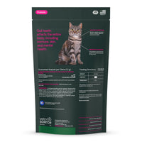 Thumbnail for VetriScience Gut Health Chews, Probiotic Everyday Digestive Supplement for Cats, Pet Probiotics for Digestion Support, Gas and Diarrhea, Immune Support, 120 Million CFU Per Chew, Duck, 60 Count