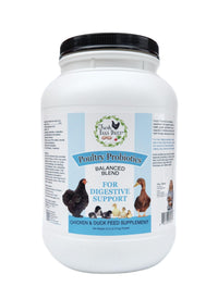 Thumbnail for Fresh Eggs Daily Poultry Probiotics Feed Supplement – Natural Digestive & Immune Support for Chickens & Ducks – Enhances Egg Quality & Reduces Odor – 6 lb
