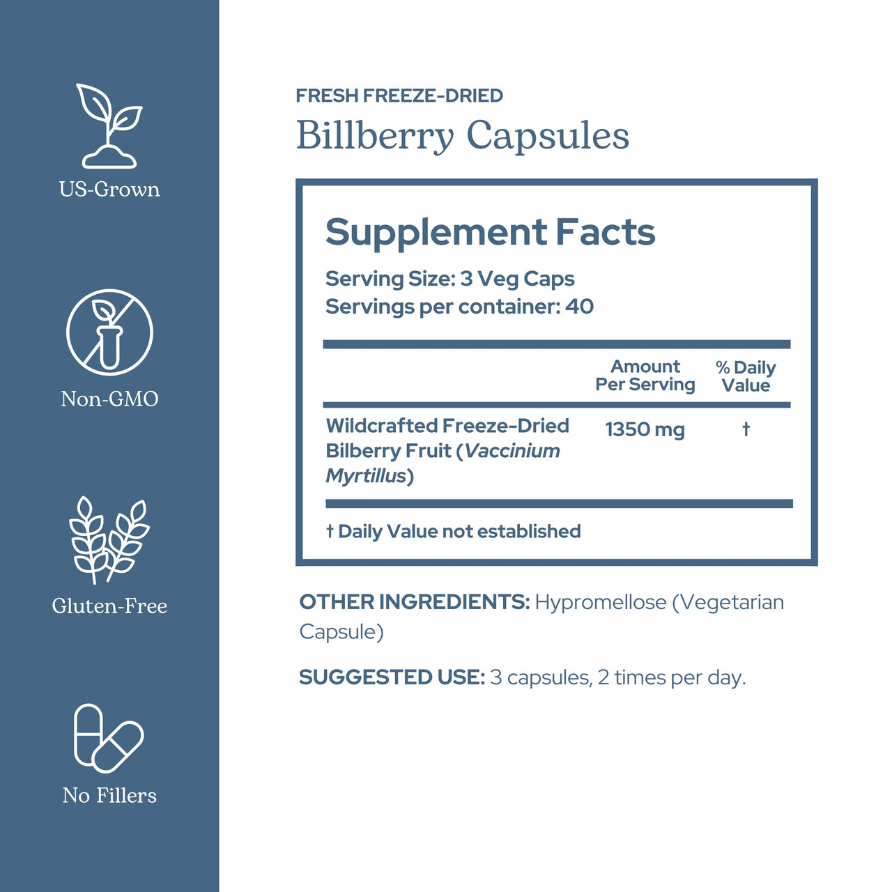 Eclectic Herb - Bilberry Capsules | Vision Health, Cardiovascular Support & Circulation | Superfood Vitamin & Mineral Supplement | Raw, Freeze Dried, Vegan, Non-GMO, Gluten Free (120 CT | 450 mg)