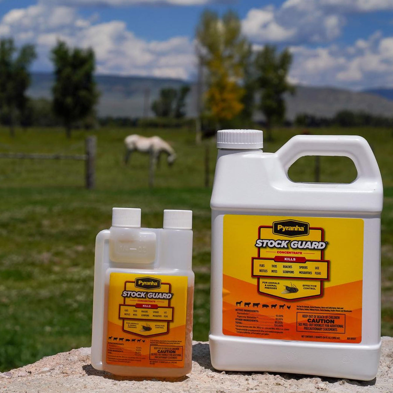 PYRANHA Stock Guard Concentrate - Livestock, Barn, Milk Rooms, Dairies, Poultry & Swine Houses Indoor Fly Control | Repels Flies, Lice, Ticks, Beetles, Mites, Gnats, 8 Oz