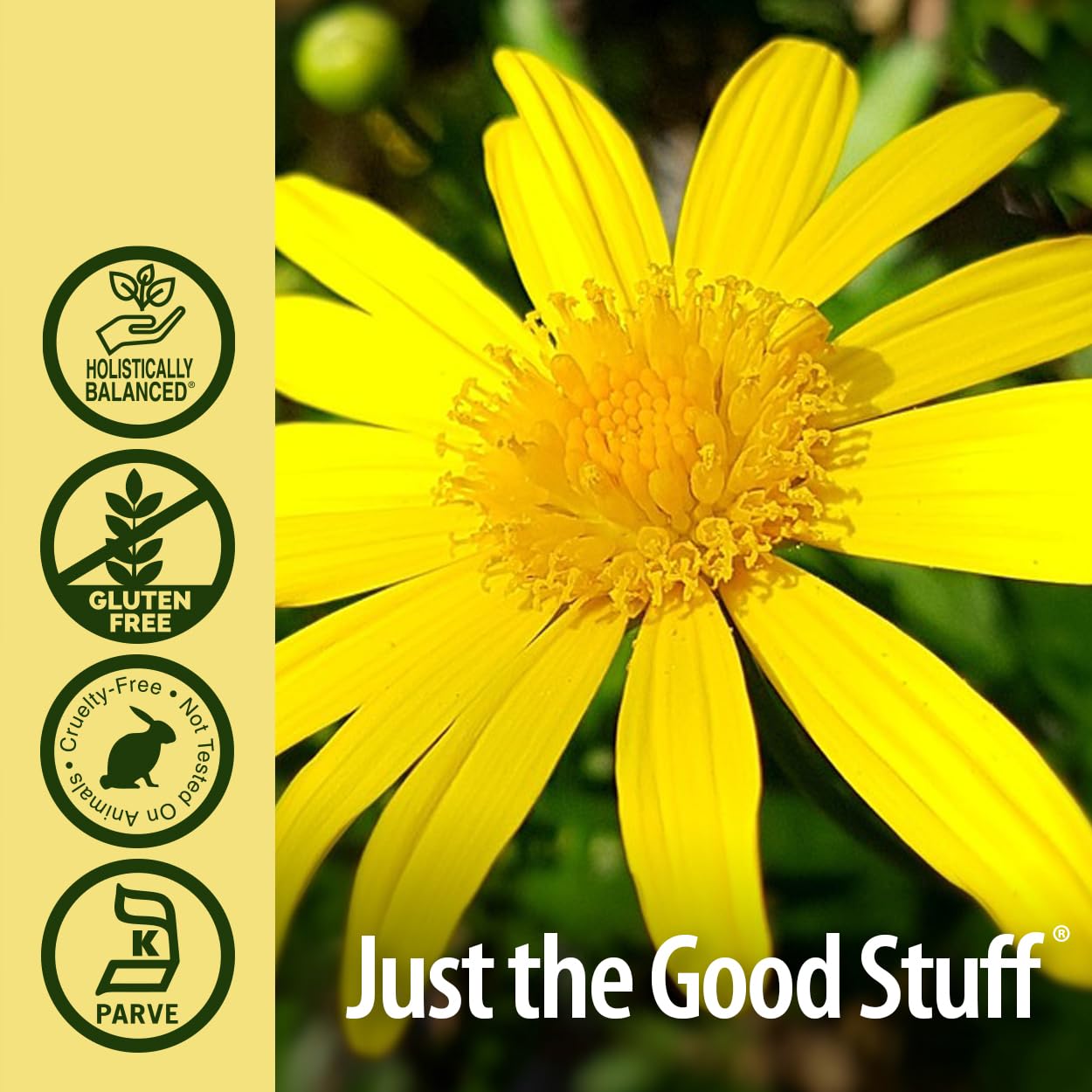 Nature's Answer Elecampane Root 2 oz. Low Organic Alcohol 2000mg - Herbal Supplement - Non GMO & Kosher - Low Alcohol Gluten Free 100% Vegan - 2 FL Oz