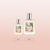 Thumbnail for philosophy amazing grace bergamot eau de toilette 2 fl oz