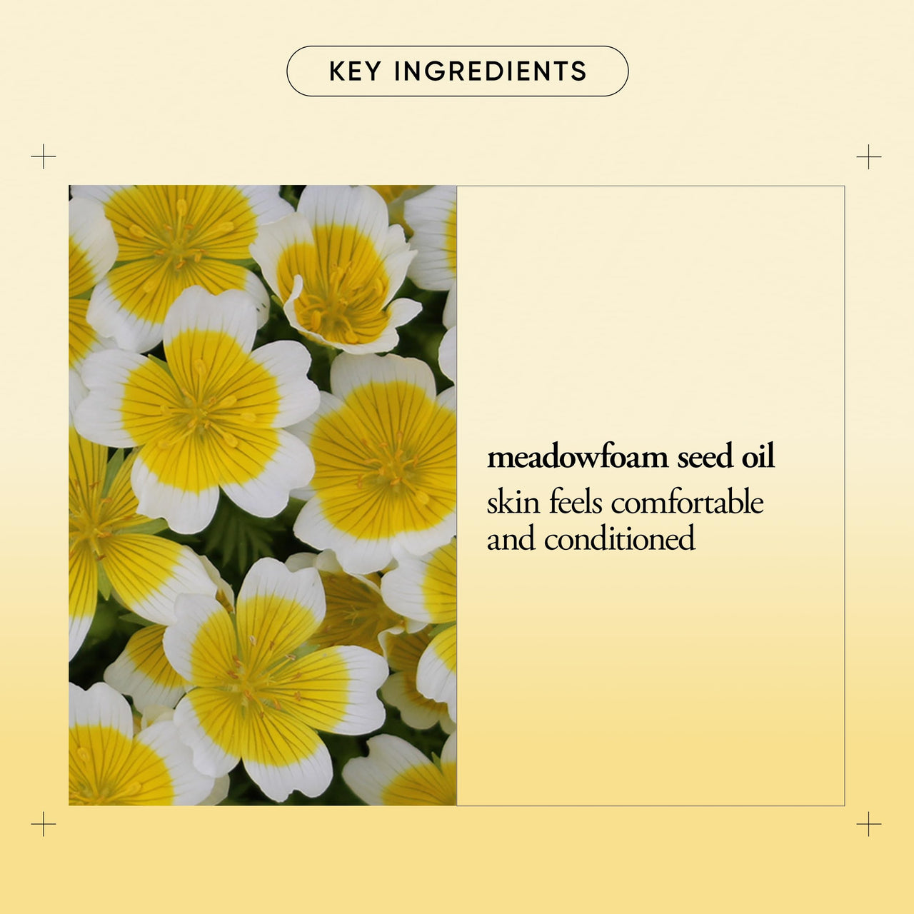 philosophy purity made simple one-step facial cleansing cloths - easily removes makeup, dirt & oil on the go - skin is left clean and comfortable with no rinsing needed - 30 Count