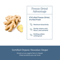 Thumbnail for Eclectic Herb - Ginger Capsules | Antioxidants for Heart Support & Digestive Health | Herbal Supplement | US-Grown, Organic, Vegan, Non-GMO, Gluten Free (90 CT | 395 mg)