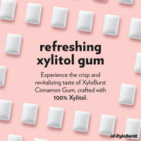 Thumbnail for XyloBurst Gum | Xylitol Chewing Gum | Sugar Free, Gluten Free, Keto Friendly | Aspartame Free Gum For Oral Health | Cinnamon | 100-Count Jar
