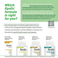 Thumbnail for Kyolic Aged Garlic Extract Formula 300, Cardiovascular Health*, Vegan, 120 Capsules