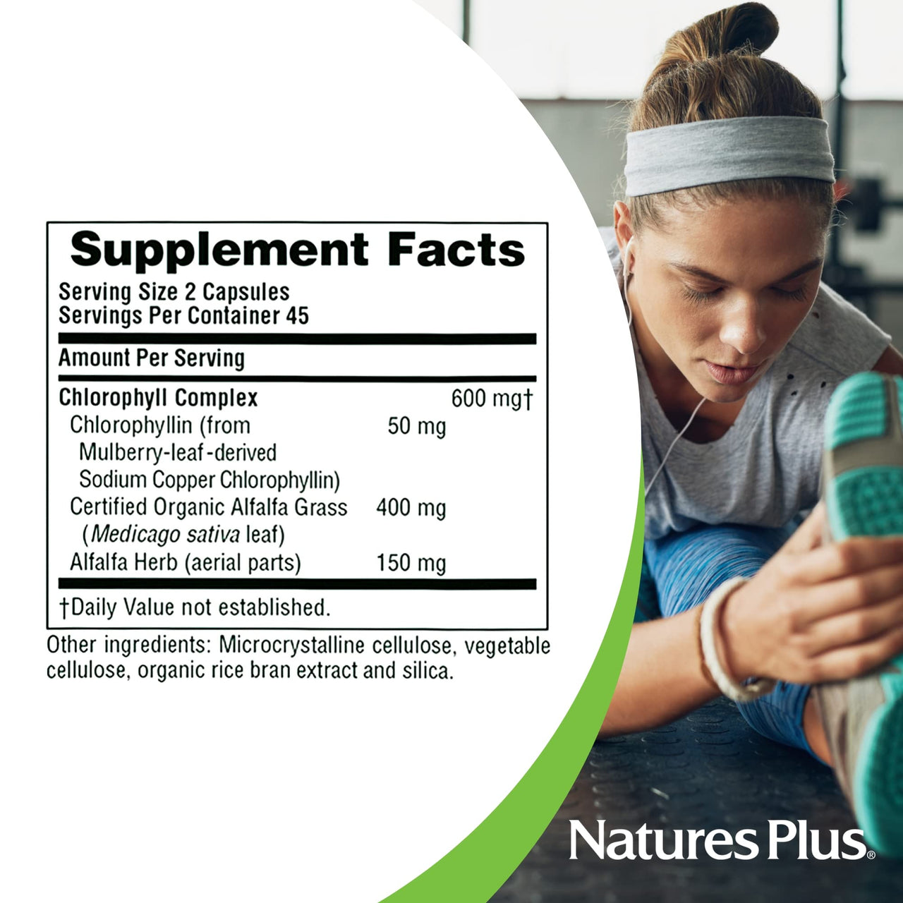 NaturesPlus Chlorophyll Complex - 90 Capsules - 600 mg of Organic Alfalfa - Superfood Supplement & Antioxidant - Immune System Support, Boost Energy - Gluten Free - 45 Servings