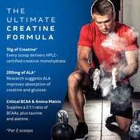 Thumbnail for MuscleTech Mass Gainer Mass-Tech Extreme 2000, Muscle Builder Whey Protein Powder & Creatine Monohydrate Powder Cell-Tech Creatine Post Workout Recovery Drink Muscle Builder