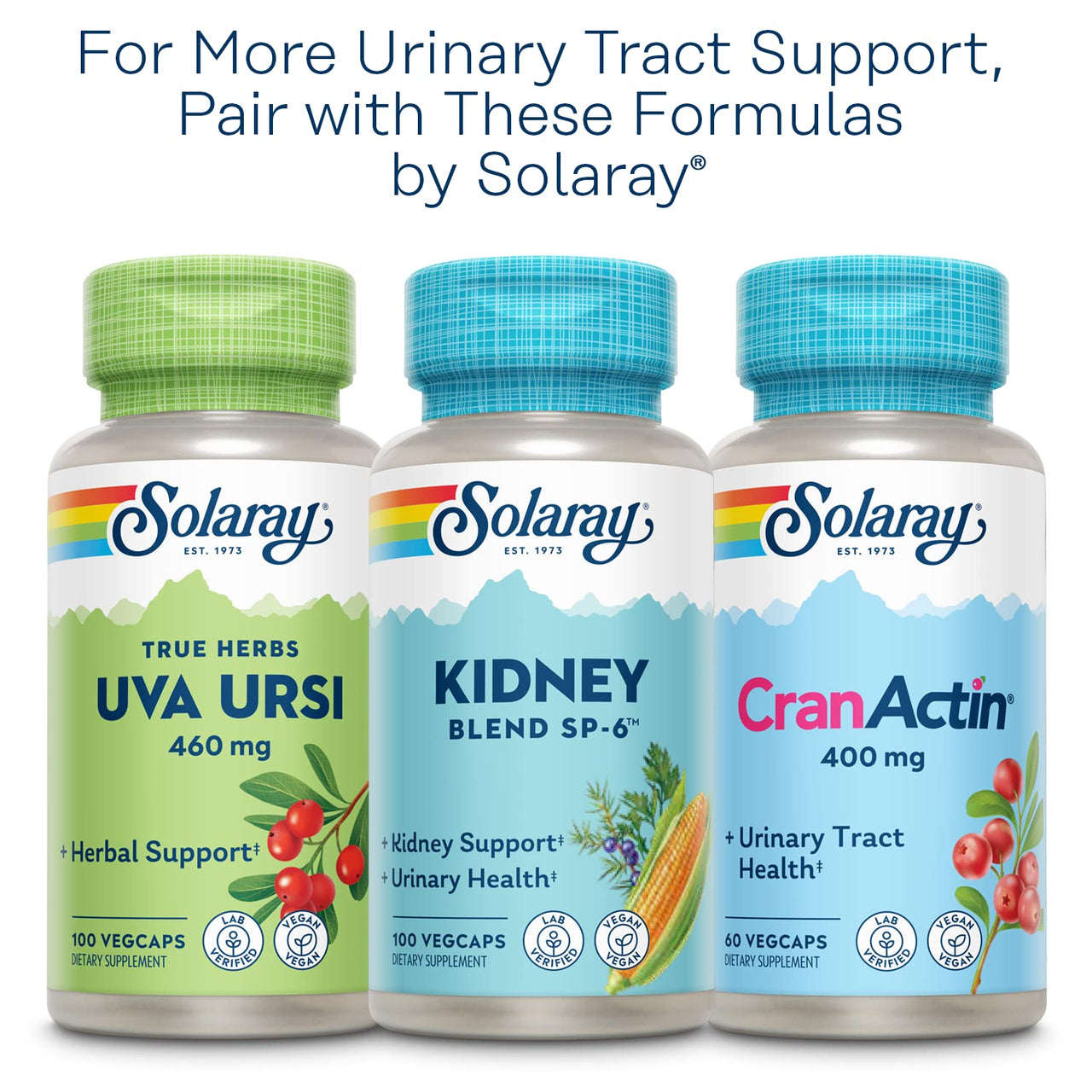 SOLARAY Nettle Leaf 450mg Healthy Kidney, Urinary & Prostate Support Traditional Use for Healthy Allergy Response & Respiratory Wellness 180 CT